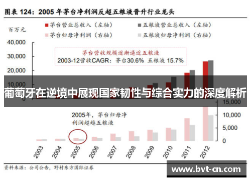 葡萄牙在逆境中展现国家韧性与综合实力的深度解析