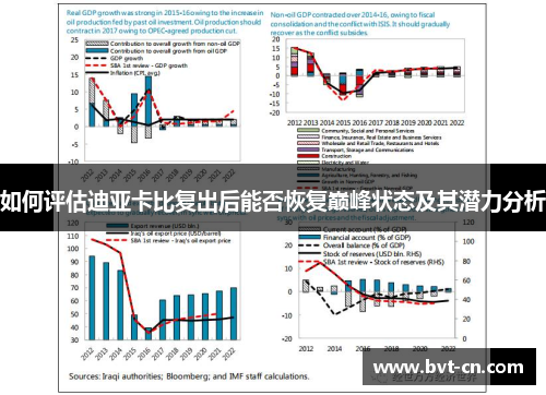 如何评估迪亚卡比复出后能否恢复巅峰状态及其潜力分析